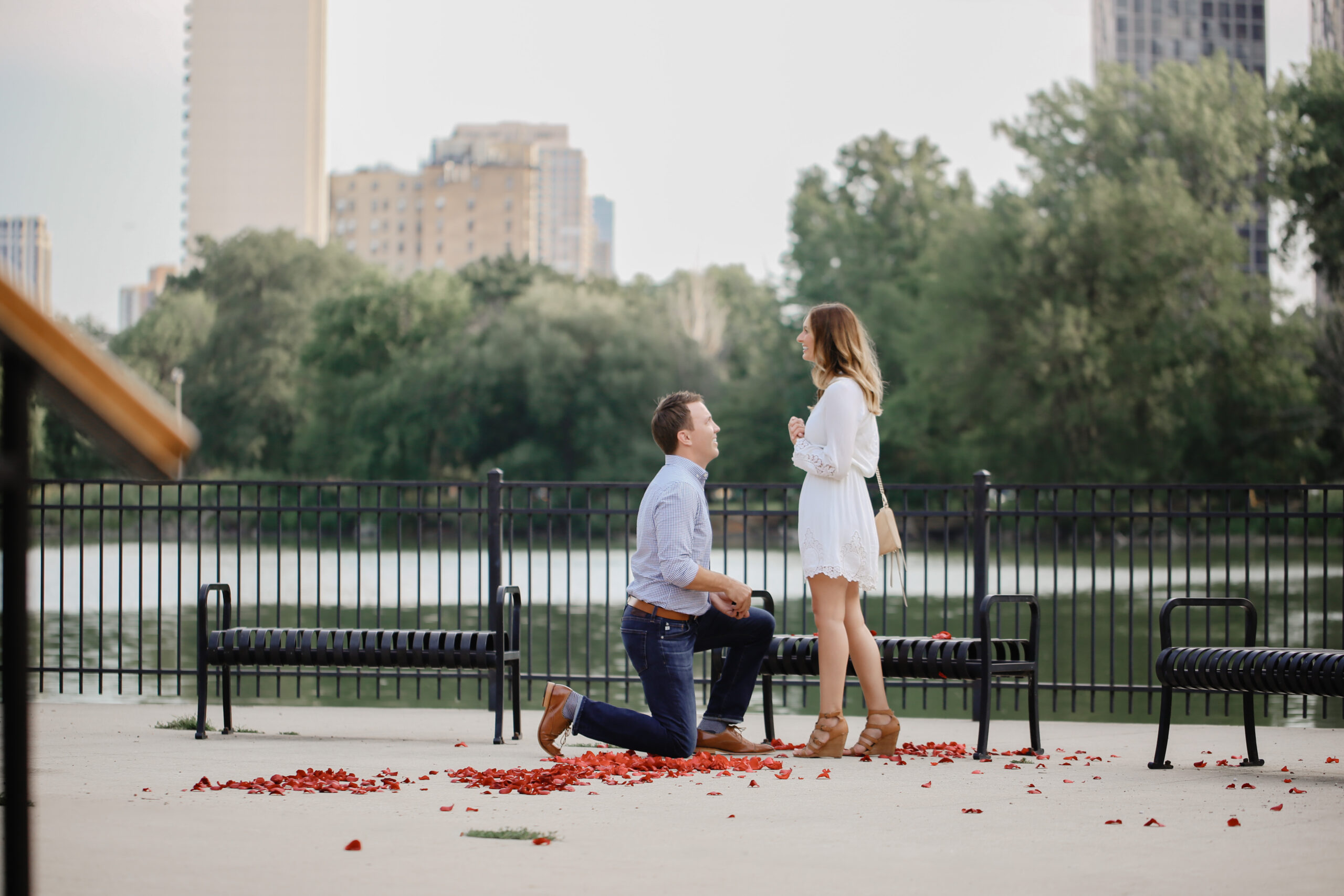Chicago couple gets engaged after romantic surprise proposal at Lincoln Park's iconic North Pond location, complete with red rose petals!